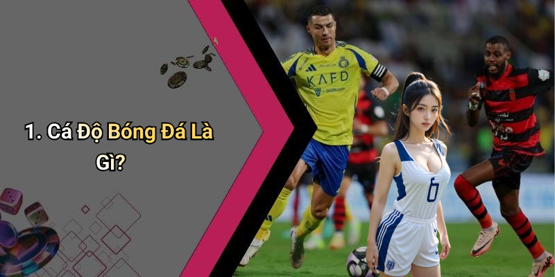 1. Cá Độ Bóng Đá Là Gì?