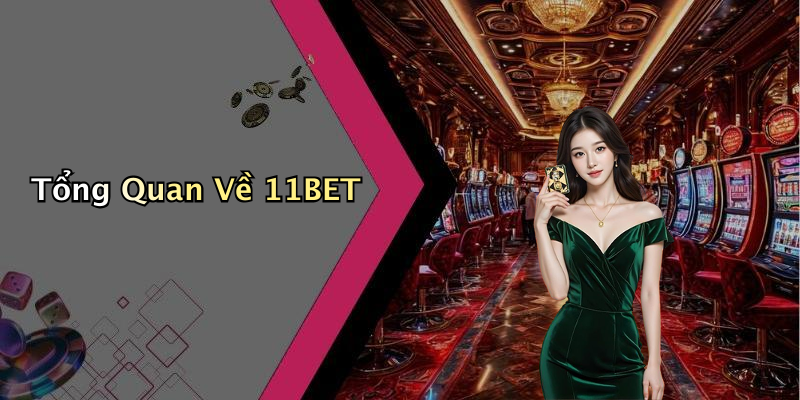 Tổng Quan Về 11BET