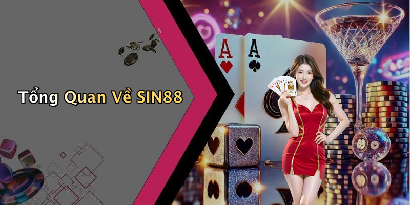 Tổng Quan Về SIN88